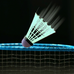 The Benefits of Starting a Badminton Business