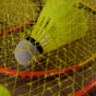 The Benefits of Starting a Badminton Business