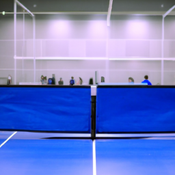 Organizing a Badminton Business Event